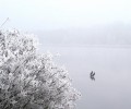 Donau bei Joshofen